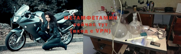 прущие грибы Покровск